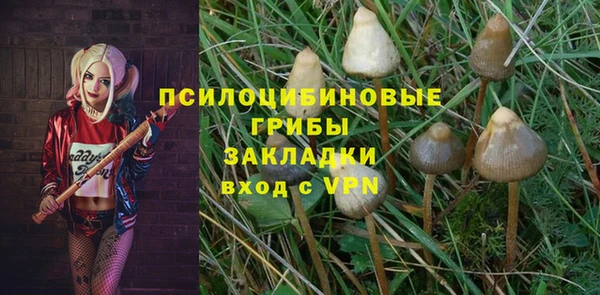 стаф Семилуки