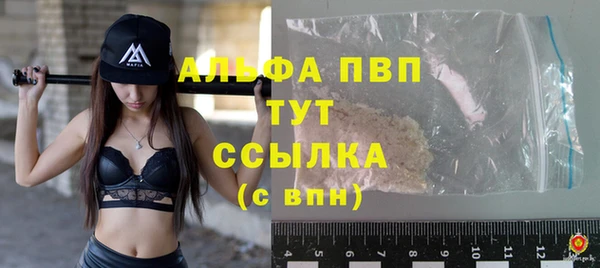 крисы Белокуриха