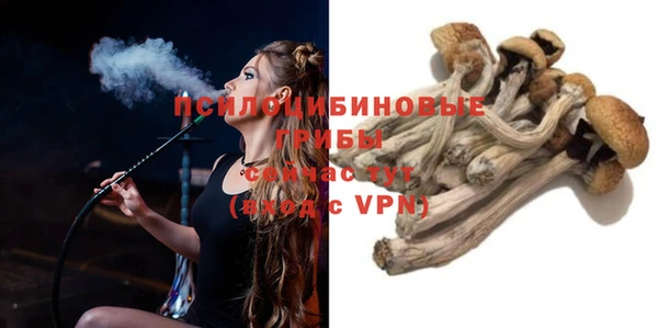 крисы Белокуриха