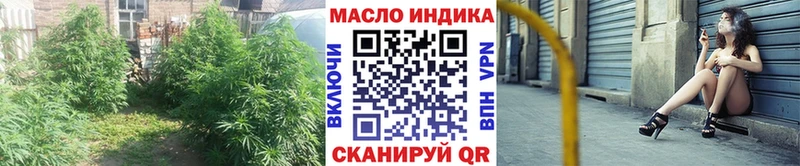 Купить  Апатиты  ТГК концентрат 