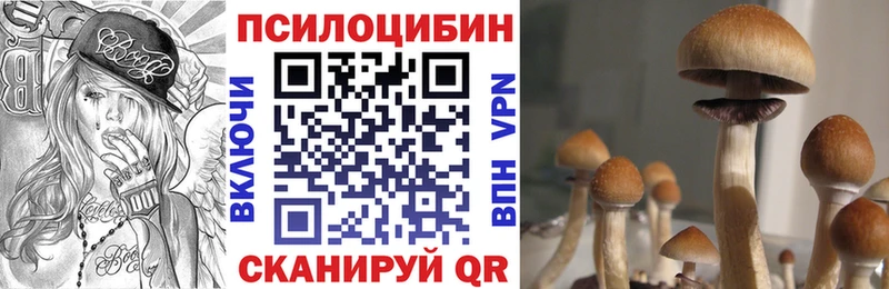 Псилоцибиновые грибы мухоморы  Купить закладки  Апатиты 